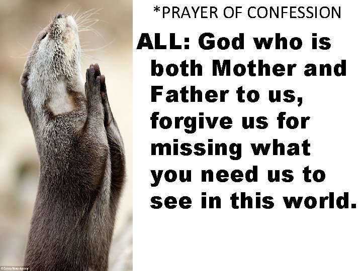 *PRAYER OF CONFESSION ALL: God who is both Mother and Father to us, forgive