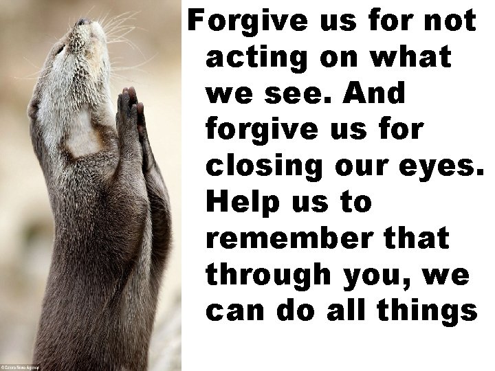 Forgive us for not acting on what we see. And forgive us for closing