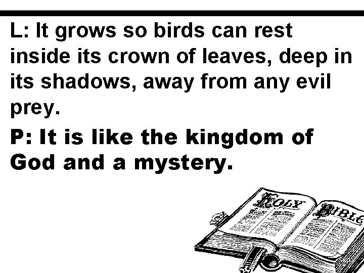 L: It grows so birds can rest inside its crown of leaves, deep in