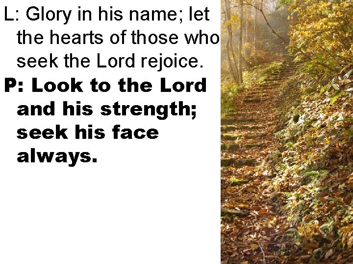 L: Glory in his name; let the hearts of those who seek the Lord