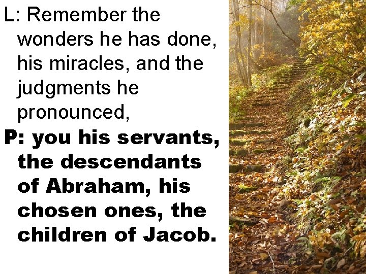 L: Remember the wonders he has done, his miracles, and the judgments he pronounced,