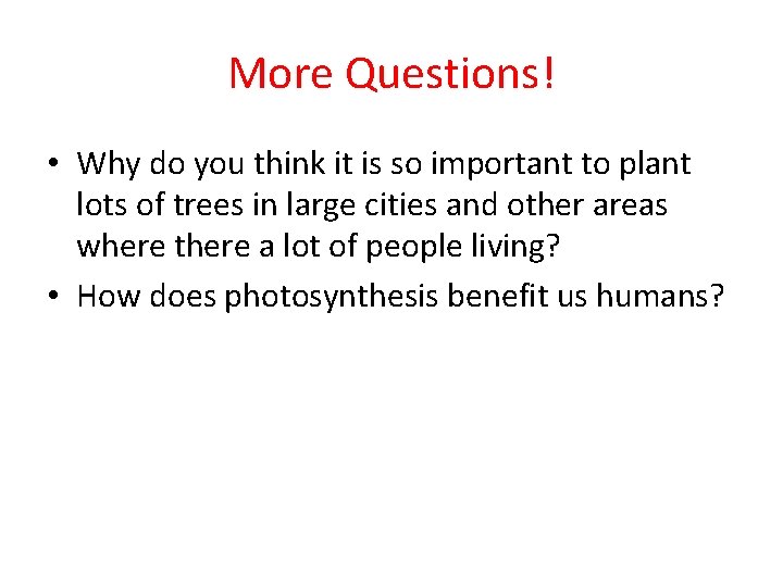 More Questions! • Why do you think it is so important to plant lots More Questions! • Why do you think it is so important to plant lots