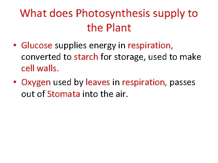 What does Photosynthesis supply to the Plant • Glucose supplies energy in respiration, converted What does Photosynthesis supply to the Plant • Glucose supplies energy in respiration, converted