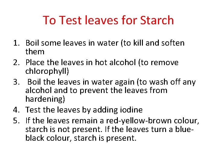 To Test leaves for Starch 1. Boil some leaves in water (to kill and To Test leaves for Starch 1. Boil some leaves in water (to kill and