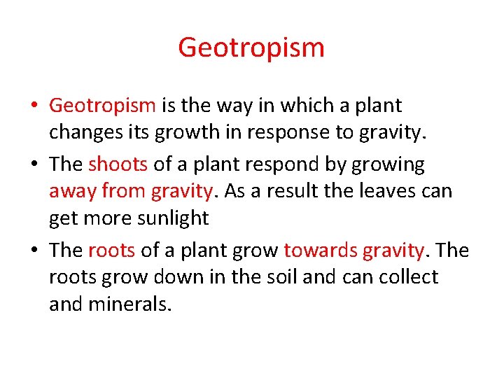 Geotropism • Geotropism is the way in which a plant changes its growth in Geotropism • Geotropism is the way in which a plant changes its growth in