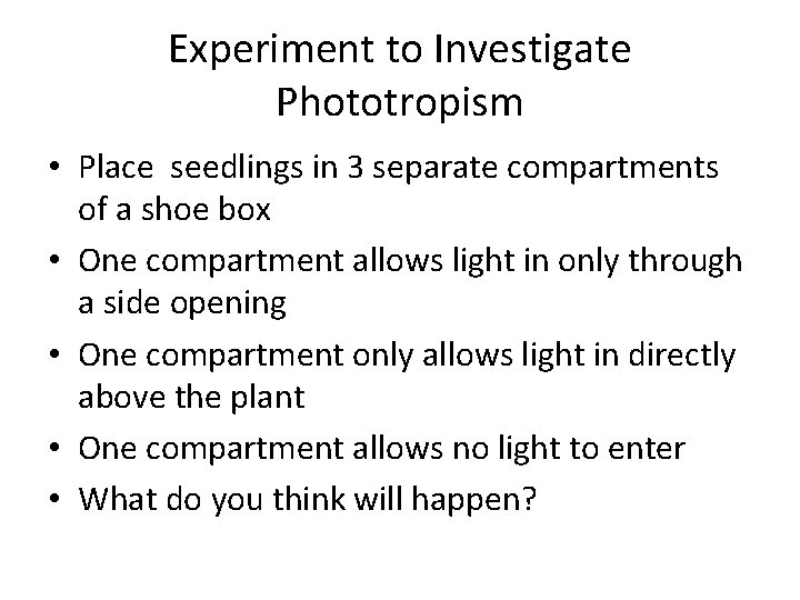 Experiment to Investigate Phototropism • Place seedlings in 3 separate compartments of a shoe Experiment to Investigate Phototropism • Place seedlings in 3 separate compartments of a shoe