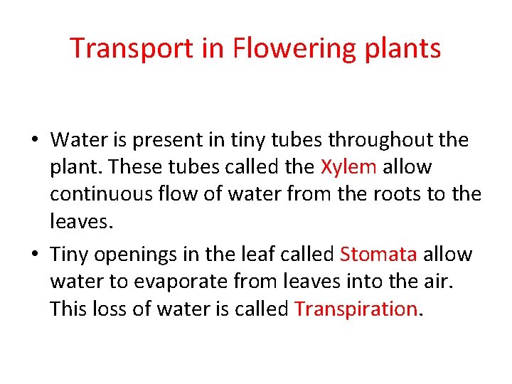 Transport in Flowering plants • Water is present in tiny tubes throughout the plant. Transport in Flowering plants • Water is present in tiny tubes throughout the plant.