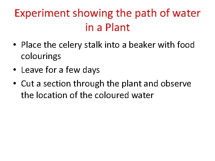 Experiment showing the path of water in a Plant • Place the celery stalk Experiment showing the path of water in a Plant • Place the celery stalk