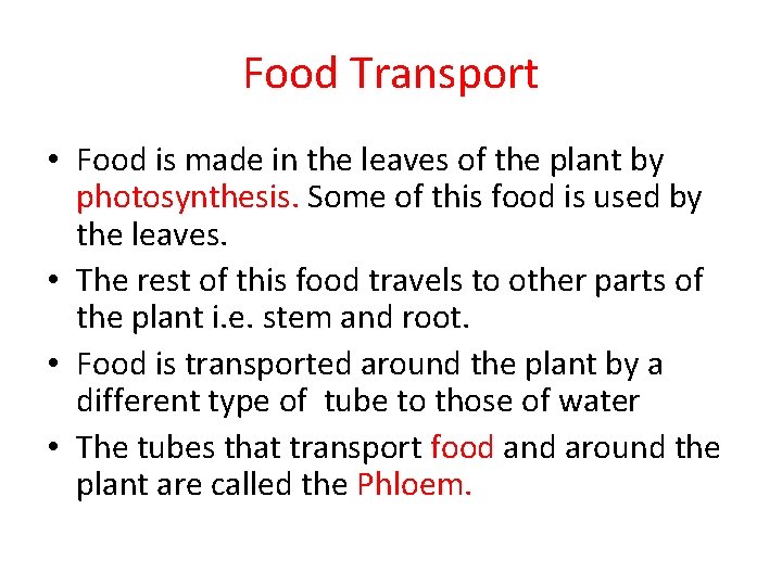 Food Transport • Food is made in the leaves of the plant by photosynthesis. Food Transport • Food is made in the leaves of the plant by photosynthesis.