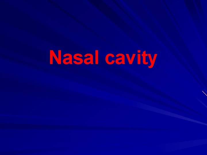 Nasal cavity 