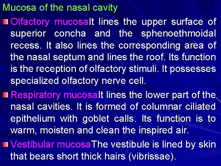 Mucosa of the nasal cavity Olfactory mucosa. It lines the upper surface of superior