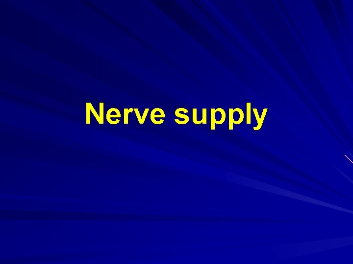 Nerve supply 