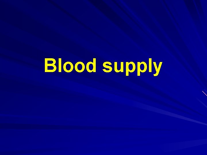 Blood supply 