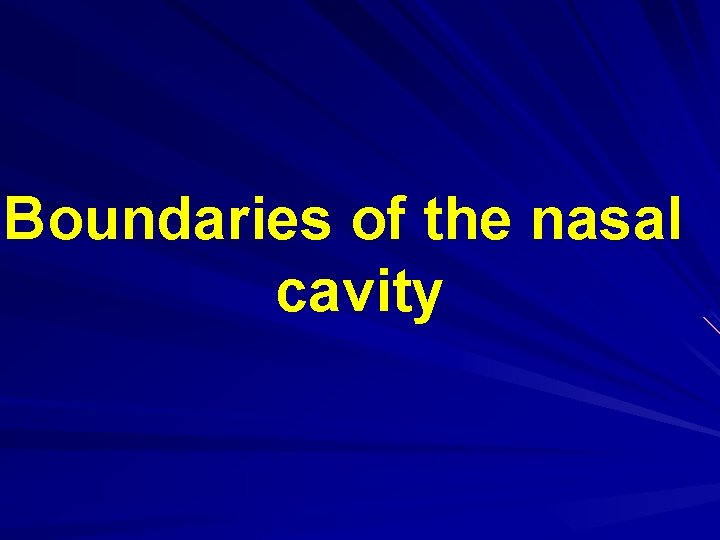 Boundaries of the nasal cavity 
