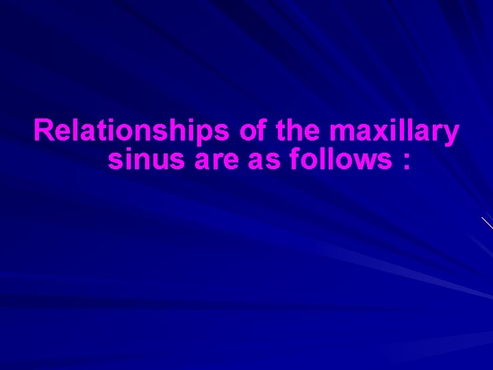 Relationships of the maxillary sinus are as follows : 