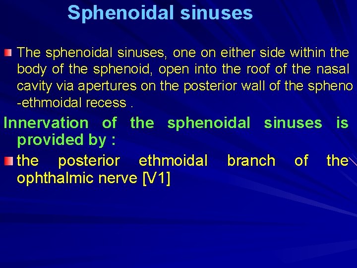 Sphenoidal sinuses The sphenoidal sinuses, one on either side within the body of the