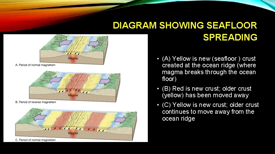 DIAGRAM SHOWING SEAFLOOR SPREADING • (A) Yellow is new (seafloor ) crust created at