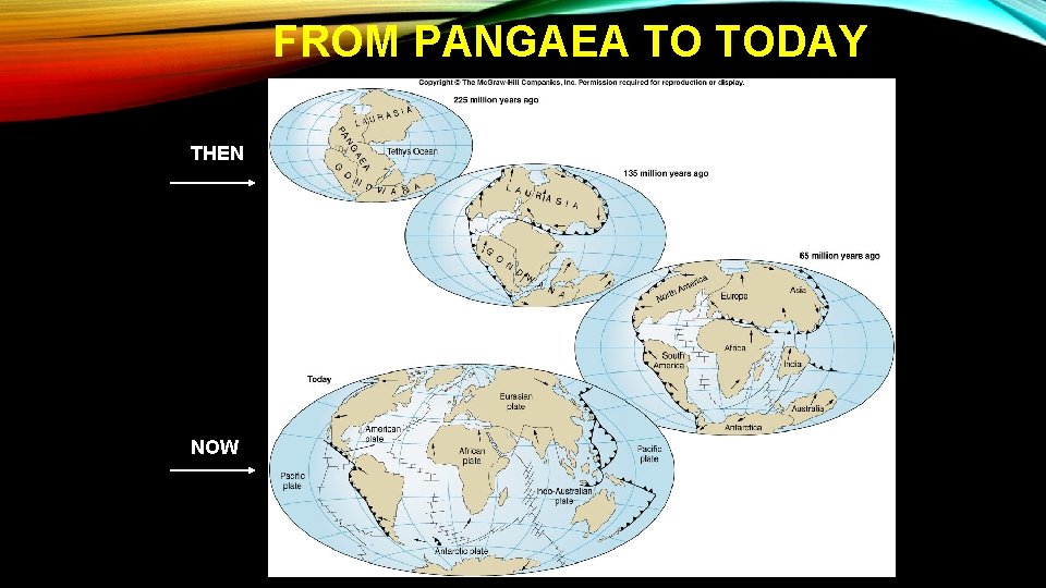 FROM PANGAEA TO TODAY THEN NOW 