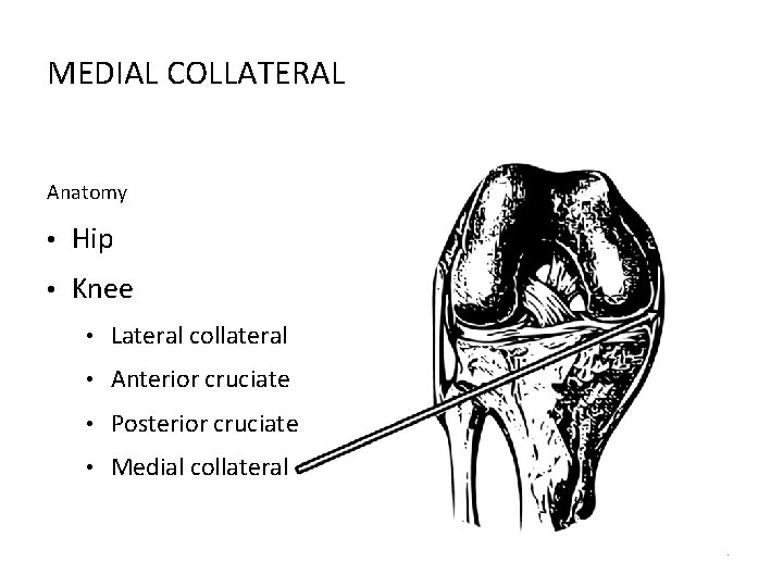 MEDIAL COLLATERAL Anatomy • Hip • Knee • Lateral collateral • Anterior cruciate •