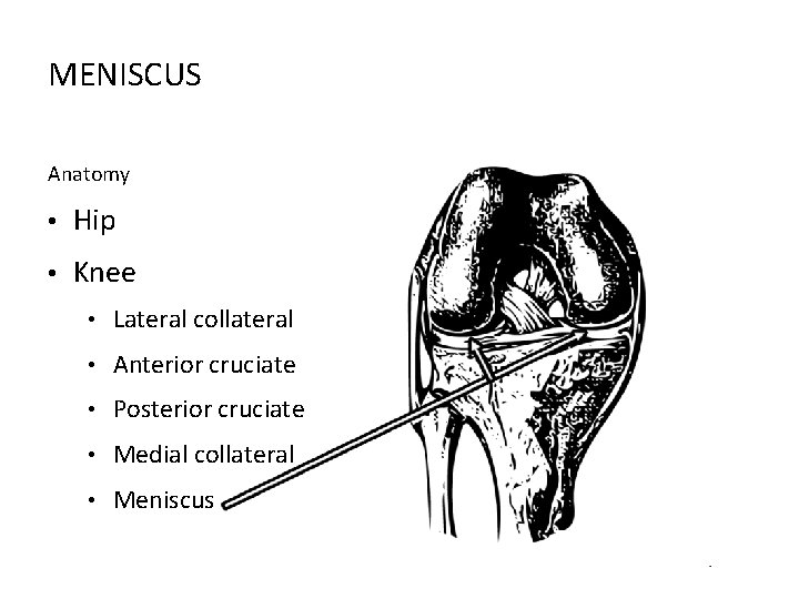 MENISCUS Anatomy • Hip • Knee • Lateral collateral • Anterior cruciate • Posterior