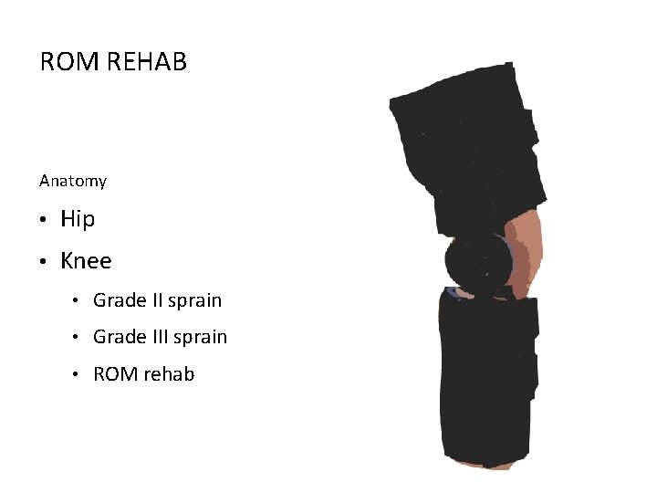 ROM REHAB Anatomy • Hip • Knee • Grade II sprain • Grade III