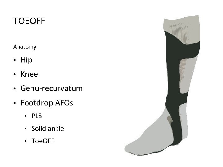 TOEOFF Anatomy • Hip • Knee • Genu-recurvatum • Footdrop AFOs • PLS •
