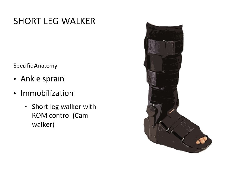 SHORT LEG WALKER Specific Anatomy • Ankle sprain • Immobilization • Short leg walker