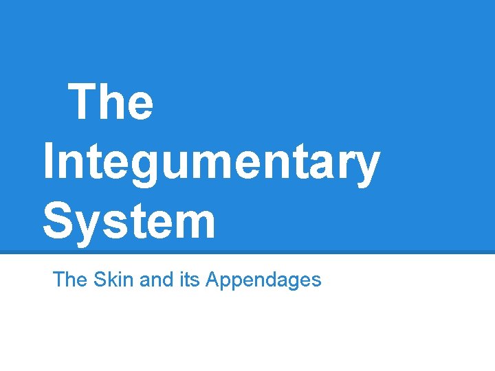 The Integumentary System The Skin and its Appendages 