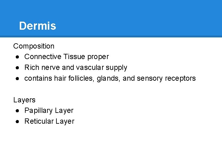 Dermis Composition ● Connective Tissue proper ● Rich nerve and vascular supply ● contains