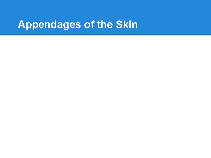 Appendages of the Skin 