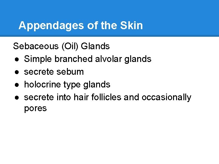 Appendages of the Skin Sebaceous (Oil) Glands ● Simple branched alvolar glands ● secrete