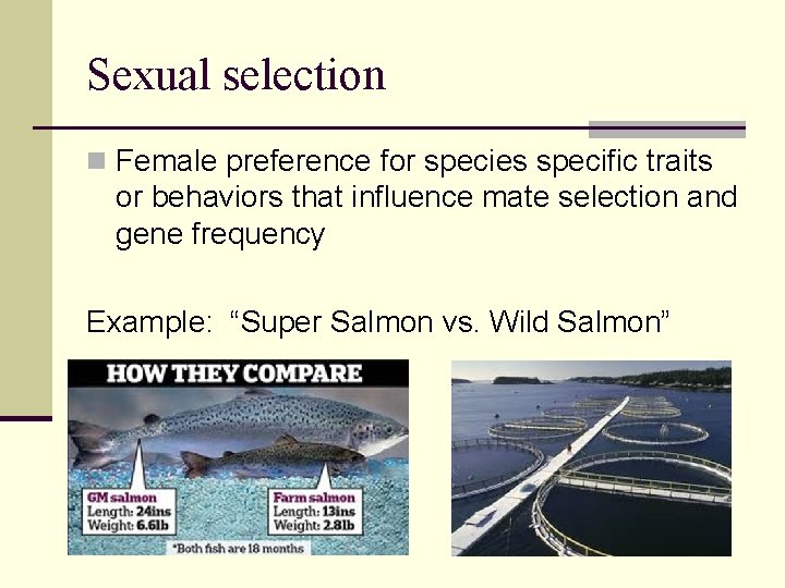 Sexual selection n Female preference for species specific traits or behaviors that influence mate