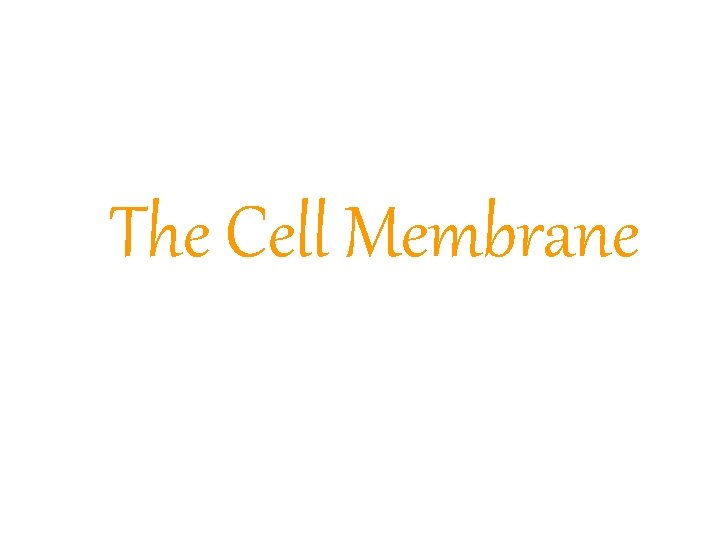 The Cell Membrane 