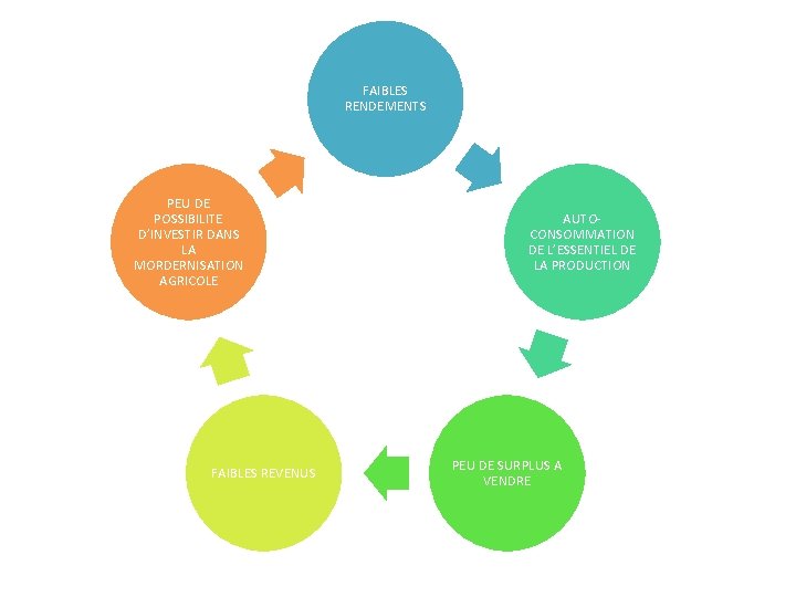 FAIBLES RENDEMENTS PEU DE POSSIBILITE D’INVESTIR DANS LA MORDERNISATION AGRICOLE FAIBLES REVENUS AUTOCONSOMMATION DE
