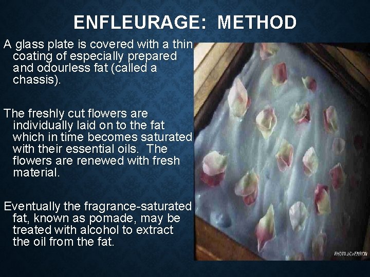 ENFLEURAGE: METHOD A glass plate is covered with a thin coating of especially prepared