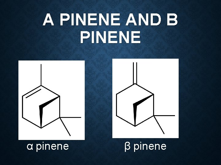 Α PINENE AND Β PINENE α pinene β pinene 