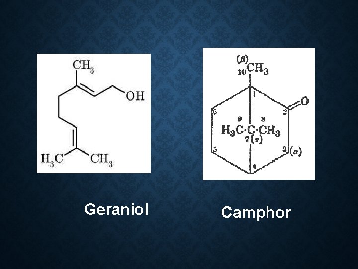 Geraniol Camphor 