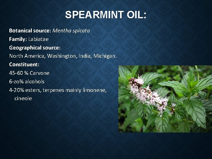 SPEARMINT OIL: Botanical source: Mentha spicata Family: Labiatae Geographical source: North America, Washington, India,