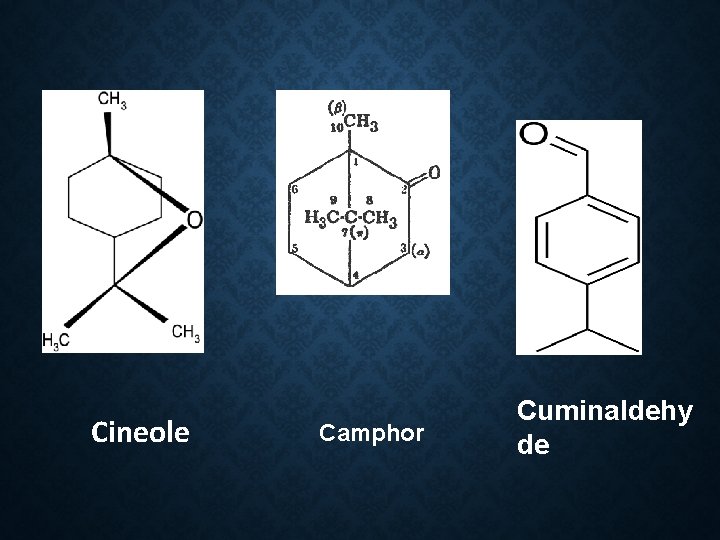 Cineole Camphor Cuminaldehy de 