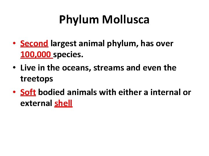 Phylum Mollusca • Second largest animal phylum, has over 100, 000 species. • Live