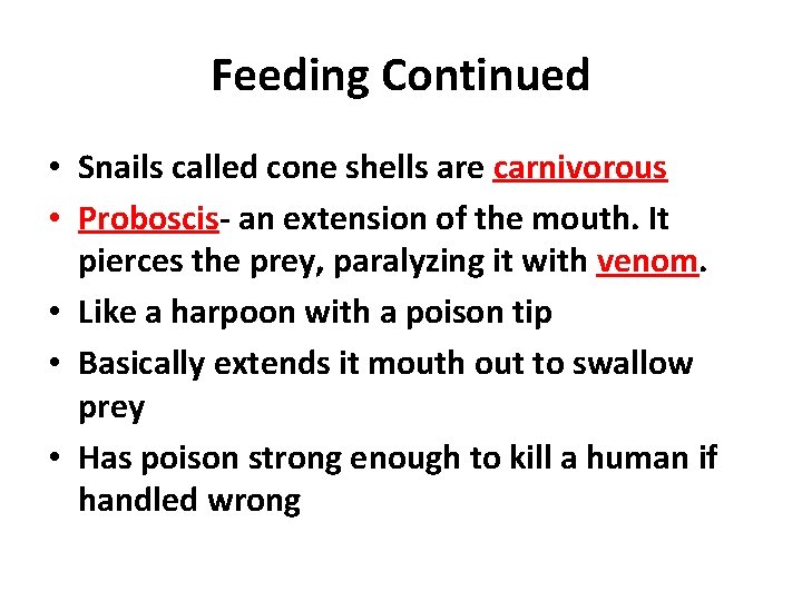 Feeding Continued • Snails called cone shells are carnivorous • Proboscis- an extension of
