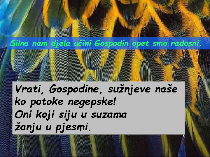 Silna nam djela učini Gospodin opet smo radosni. Vrati, Gospodine, sužnjeve naše ko potoke