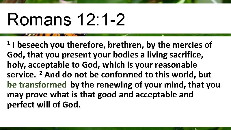 Romans 12: 1 -2 I beseech you therefore, brethren, by the mercies of God,