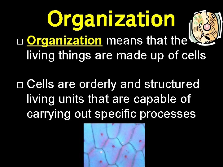 Organization means that the living things are made up of cells Cells are orderly