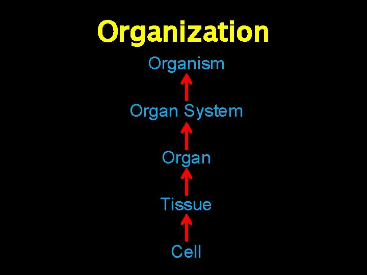 Organization Organism Organ System Organ Tissue Cell 