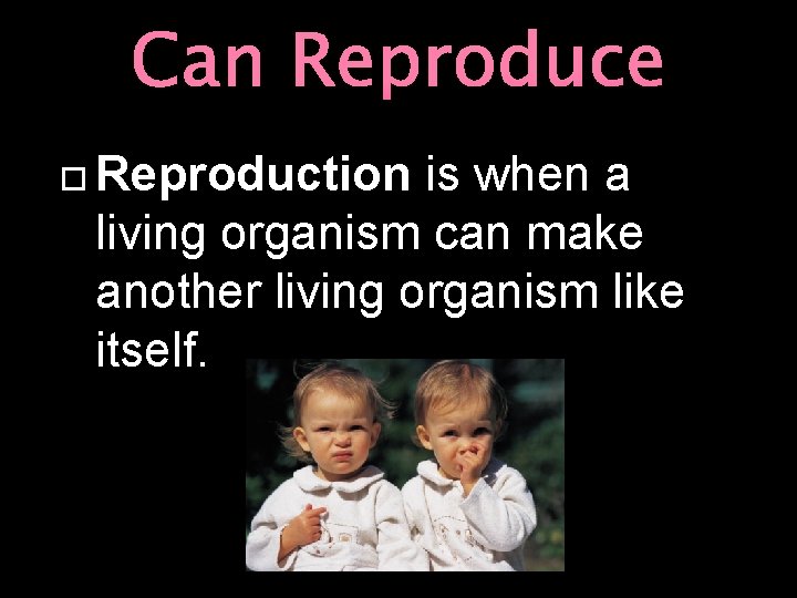 Can Reproduce Reproduction is when a living organism can make another living organism like