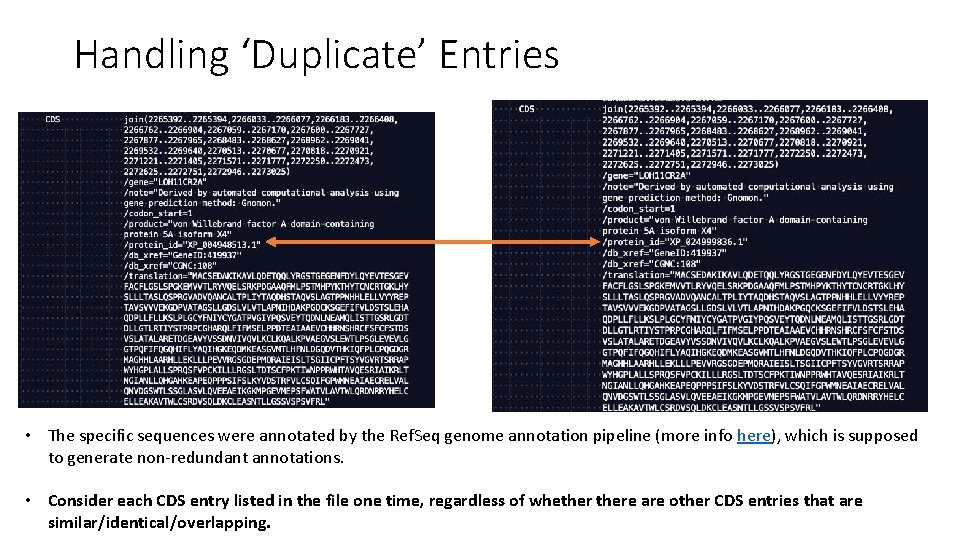 Handling ‘Duplicate’ Entries • The specific sequences were annotated by the Ref. Seq genome