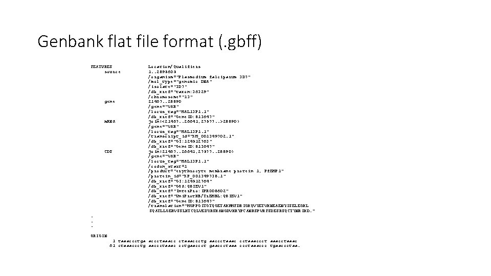 Genbank flat file format (. gbff) FEATURES source gene m. RNA CDS . .