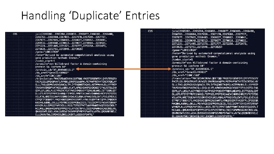 Handling ‘Duplicate’ Entries 