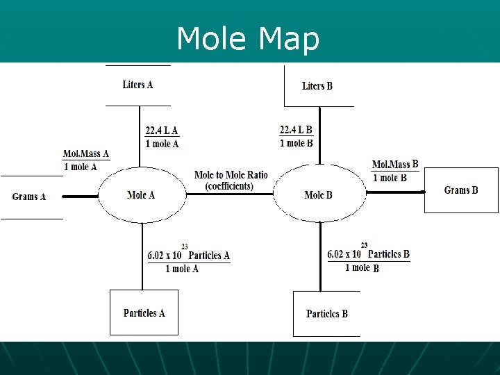 Mole Map 